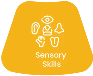 Sensor Skills