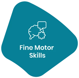 Fine Motor Skills