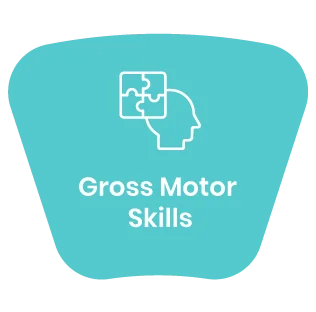 Gross Motor Skills